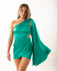 Whitney Mini Dress